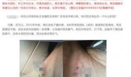 王保强保姆爆料视频大全,王保强爆料视频大全揭秘