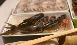 海底捞吃哈密瓜免费嘛现在,哈密瓜免费大放送，吃出夏日清凉！