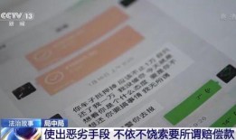 北郊纸盒厂爆料事件视频,揭秘工厂内幕与争议