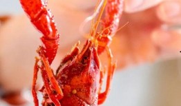 厦门龙虾爆料视频播放网站,热门视频网站带你一探究竟