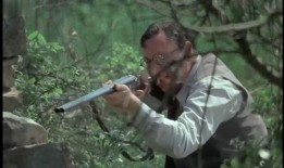 老枪在线观看,在线重温抗战岁月的烽火传奇