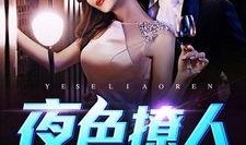 在线观看夜色撩人,一场视觉与情感的盛宴