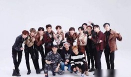 爆料塌方男明星视频播放,网络热议引发道德争议