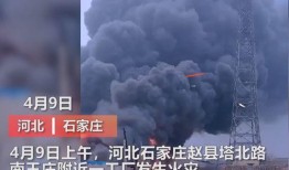 巡洋传媒爆料视频,揭秘视频背后的惊人真相