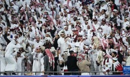 卡塔尔球迷爆料进球视频,视频走红网络