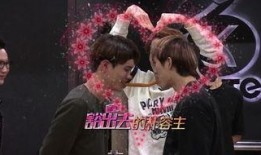 芒果明星爆料视频大全集,揭秘娱乐圈幕后真相