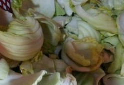 潮汕咸菜爆料视频大全下载,视频大全带你领略地道风味