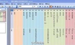 王思聪娱乐圈爆料汇总表,揭秘明星幕后故事