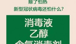 新型冠状病毒最新爆料,揭秘变异株与传播途径