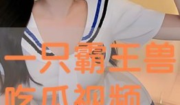 吃瓜视频免费视频,免费畅享海量精彩视频的秘诀