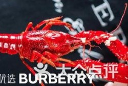 厦门龙虾爆料视频播放网站,热门视频网站带你一探究竟