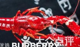 厦门龙虾爆料视频播放网站,热门视频网站带你一探究竟