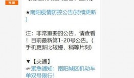 南阳疫情最新爆料,追踪病毒变异与防控措施升级