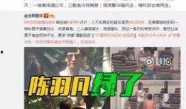 卓伟爆料赵薇恋情视频大全,赵薇恋情视频大揭秘