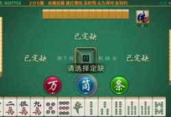 麻将配料爆料视频大全下载,视频大全下载，一探究竟