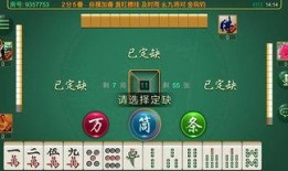 麻将配料爆料视频大全下载,视频大全下载，一探究竟