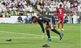 卡塔尔球迷爆料进球视频,视频走红网络