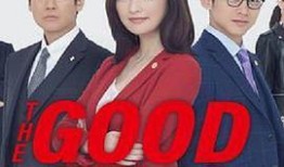 傲骨贤妻在线观看,一场关于家庭、事业与自我救赎的精彩对决