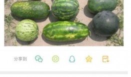 最新爆料新瓜,最新爆料新瓜，带你直击娱乐圈风云变幻