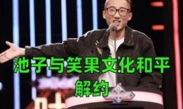 银行人爆料池子的视频,揭秘娱乐圈背后的真相