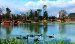 贵州花果园爆料案件最新