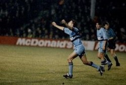 卡塔尔球迷爆料进球视频,视频走红网络