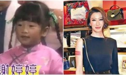 妹妹节目爆料视频下载,独家幕后花絮大公开