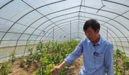 重庆农村老王爆料事件视频,揭秘背后惊人真相