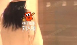 刘大锤爆料王楚然视频,真相即将揭晓