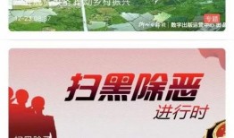 今日菜价爆料新闻视频播放,今日菜价揭秘，视频曝光市场动态