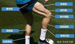 女网红爆料c罗是谁啊视频,揭秘背后惊人真相