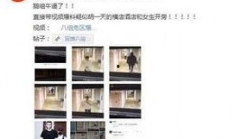 美国黑料爆料视频大全,视频大全深度剖析