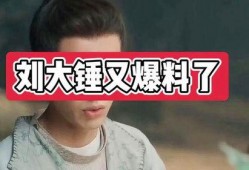 刘大锤明天爆料视频全集,揭秘视频全集幕后真相
