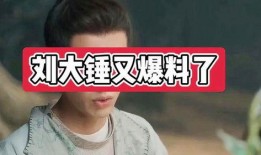 刘大锤明天爆料视频全集,揭秘视频全集幕后真相