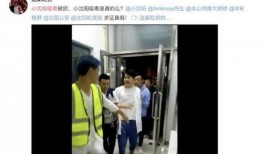 可以被爆料的视频,爆料的视频内容深度解析