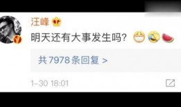 娱乐圈吃瓜专用网站,揭秘那些不为人知的幕后故事