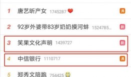 银行人爆料池子的视频,揭秘娱乐圈背后的真相