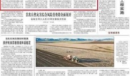 娱乐圈重点爆料小说有哪些