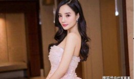 吴奇隆前妻爆料女助理视频,揭秘娱乐圈背后的真相