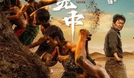 山东猴哥爆料事件视频播放,揭秘事件背后真相