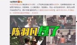 王雁林最新爆料视频大全,揭秘背后惊人真相