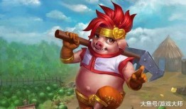 山东猴哥爆料事件视频播放,揭秘事件背后真相