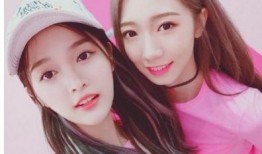 娱乐吃瓜酱笑点低的小说,娱乐吃瓜酱的爆笑小说之旅