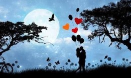 女人之爱在线观看,一场跨越时空的情感之旅