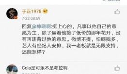 娱乐圈吃瓜微信,揭秘明星背后的故事与真相