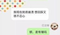视频投稿爆料入口,一键掌握热门资讯新动向