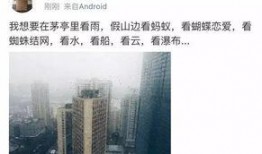 同安今日爆料,揭秘今日热点事件背后的真相