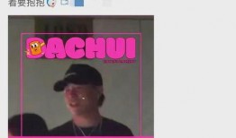 刘大锤明天爆料视频全集,揭秘视频全集幕后真相