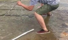 大鱼吃瓜娱乐,揭秘娱乐圈幕后故事