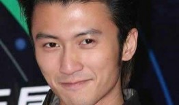 谢霆锋王菲娱乐爆料,揭秘娱乐圈背后的故事